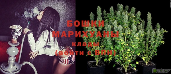 первитин Козельск