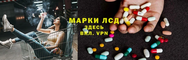 стаф Киренск