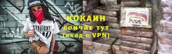 стаф Киренск